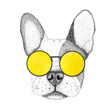 sketch french bulldog dog head hand drawn illustration. Doggy in yellow sunglasses, isolated