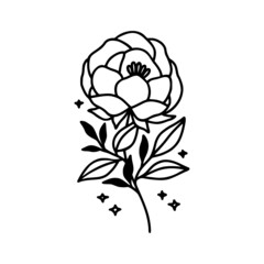 Hand drawn rose, peony flower and botanical leaf branch illustration. Black line art vector feminine logo. Symbol and icon for wedding, business card, cosmetics, jewel, brand, and beauty products