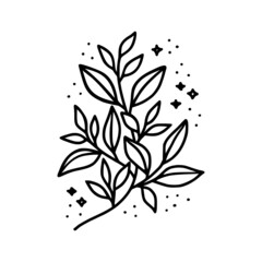 Hand drawn floral & botanical leaf branch illustration. Black line art vector feminine logo. Symbol and icon for wedding, business card, cosmetics, jewel, brand, and beauty products
