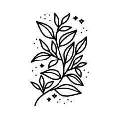 Hand drawn floral & botanical leaf branch illustration. Black line art vector feminine logo. Symbol and icon for wedding, business card, cosmetics, jewel, brand, and beauty products