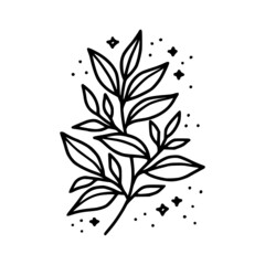 Hand drawn floral & botanical leaf branch illustration. Black line art vector feminine logo. Symbol and icon for wedding, business card, cosmetics, jewel, brand, and beauty products