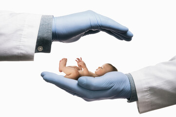 Baby between two palms of doctor hands on white isolated background. In vitro fertilization. Concept