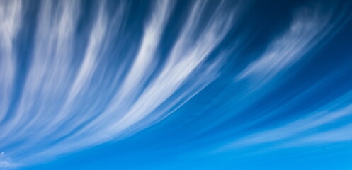 White feathery clouds on a blue sky in summer