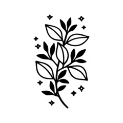 Hand drawn floral & botanical leaf branch illustration. Black line art vector feminine logo. Symbol and icon for wedding, business card, cosmetics, jewel, brand, and beauty products
