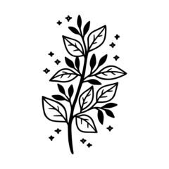 Hand drawn floral & botanical leaf branch illustration. Black line art vector feminine logo. Symbol and icon for wedding, business card, cosmetics, jewel, brand, and beauty products