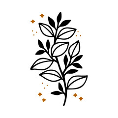 Hand drawn floral & botanical leaf branch illustration. Black line art vector feminine logo. Symbol and icon for wedding, business card, cosmetics, jewel, brand, and beauty products