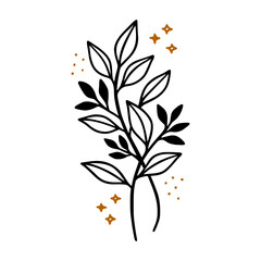 Hand drawn floral & botanical leaf branch illustration. Black line art vector feminine logo. Symbol and icon for wedding, business card, cosmetics, jewel, brand, and beauty products