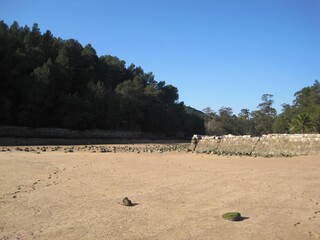 landscape in the mountains