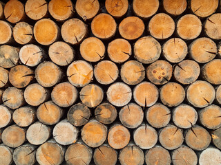 Old wooden wall of planks texture structure background