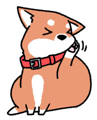体がかゆい柴犬