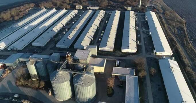 Aerial view of modern pig farm. Livestock farm. Farm for growing pigs. 
