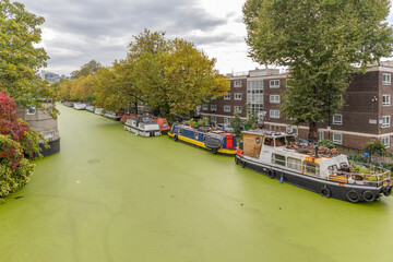 Fototapeta na wymiar Very green water in the canal at Little Venice, London