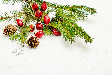 Christmas tree branches with pine cones and rosehip berries on white putty background