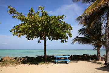 Traumhafter karibischer Strand (Tobago)