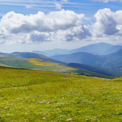 Green landscape in the pyrenees with layered mountains, green meadow and flowers, blue sky with clouds and road.
