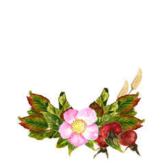 Watercolor illustration Rosa canina postcard