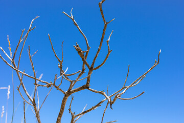 Coastal sand dune landscape of Fish Hoek, Cape Town