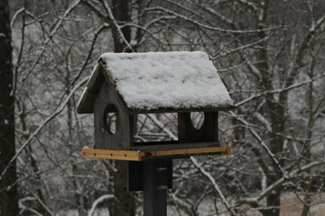 Acercamiento a una pajarera en invierno