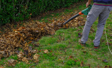 person working in the garden cleaning ground out of fallen leaves with a special vacuum cleaner for garden work	
