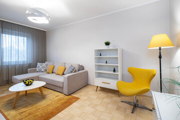 Contemporary interior of living room in modern flat. Cozy furniture. White shelf. Floor lamp. Coffee table.