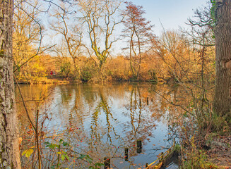 Rippled Autumn reflections on the pond