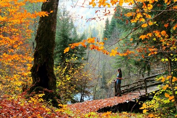 The magic bridge.