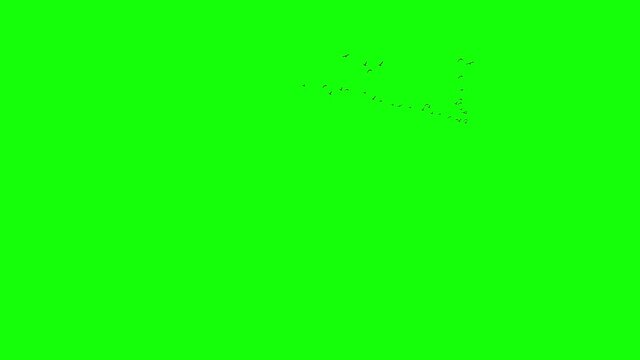 A flock of wild geese flying into the distance, migrating wild geese in line. 3D rendering animation with green background. Used for synthesis into natural scene