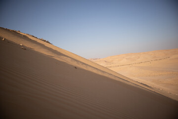 Fototapeta na wymiar negev desert sand dune