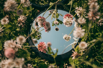 the mirror in the flowers and the sky
