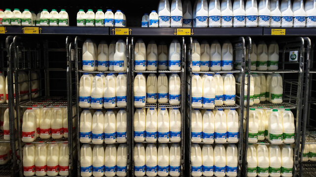 Plastic Milk Bottles Of Whole, Semi And Skimmed Milk For Sale In A Supermarket Chiller