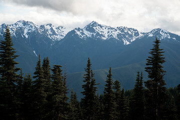 Fototapeta premium snow covered mountains view from hurricane ridge in olympic national park