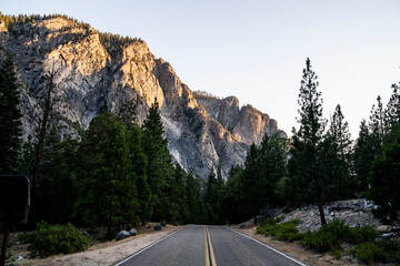 Naklejka premium road leading to kings canyon national park