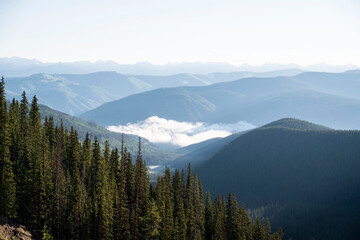 Naklejka premium foggy mountains in the morning in colorado