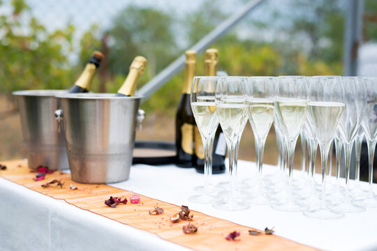 Bottles of champagne in ice buckets and glasses nearby. Luxury wedding welcome drink table. Welcome Compliment for Guests. Selective focus.
