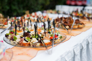 The buffet at the reception. Assortment of canapes on a table. Banquet service. Catering food, snacks with different types of cheese, ham, salami, prosciutto, shrimp, vegetables and fruits. 