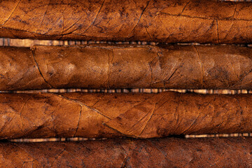 Rolled cigars in a row on wooden background