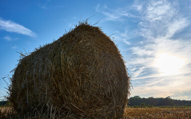 bale roll of straw after harvest against the blue sky