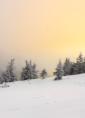 A soft sunrise over a snow-covered mountain slope.