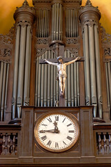 Organ
