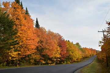
The Trois-Saumons lake road in autumn, Saint-Aubert