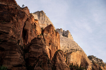 massive red rocks towering above zion national park