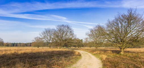 Walking path through the nature reserve in Oudemolen, Netherlands