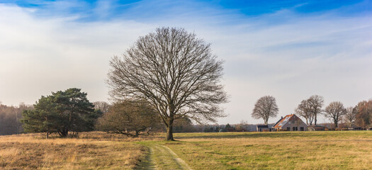 Panorama of an old tree and a farm in the nature reserve of Oudemolen, Netherlands