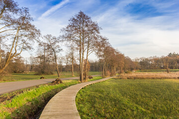 Fototapeta na wymiar Wooden boardwalk in the nature area of Oudemolen, Netherlands