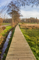 Wooden boardwalk in the nature area of Oudemolen, Netherlands