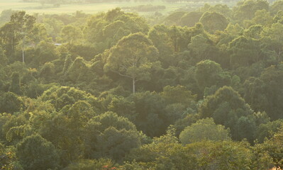 landscape of tree in sunset on Khao Lon mountain adventure travel location at Thailand