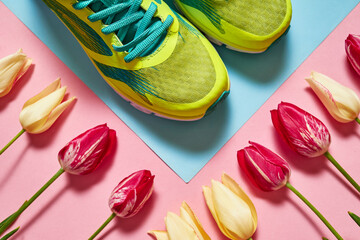 Pair of sport shoes and tulip flowers on pink and blue pastel background, copy space. New sneakers. Overhead shot of running footwear. Top view, flat lay. Spring, sport, minimal concept
