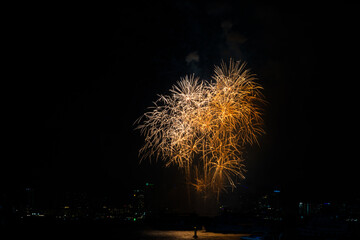 Naklejka premium Firework Festival Background