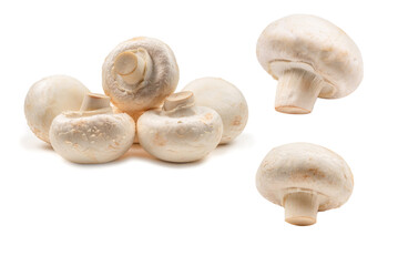 Champignon mushroom isolated on white background.