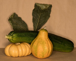 Still life of vegetables pumpkin and zucchini